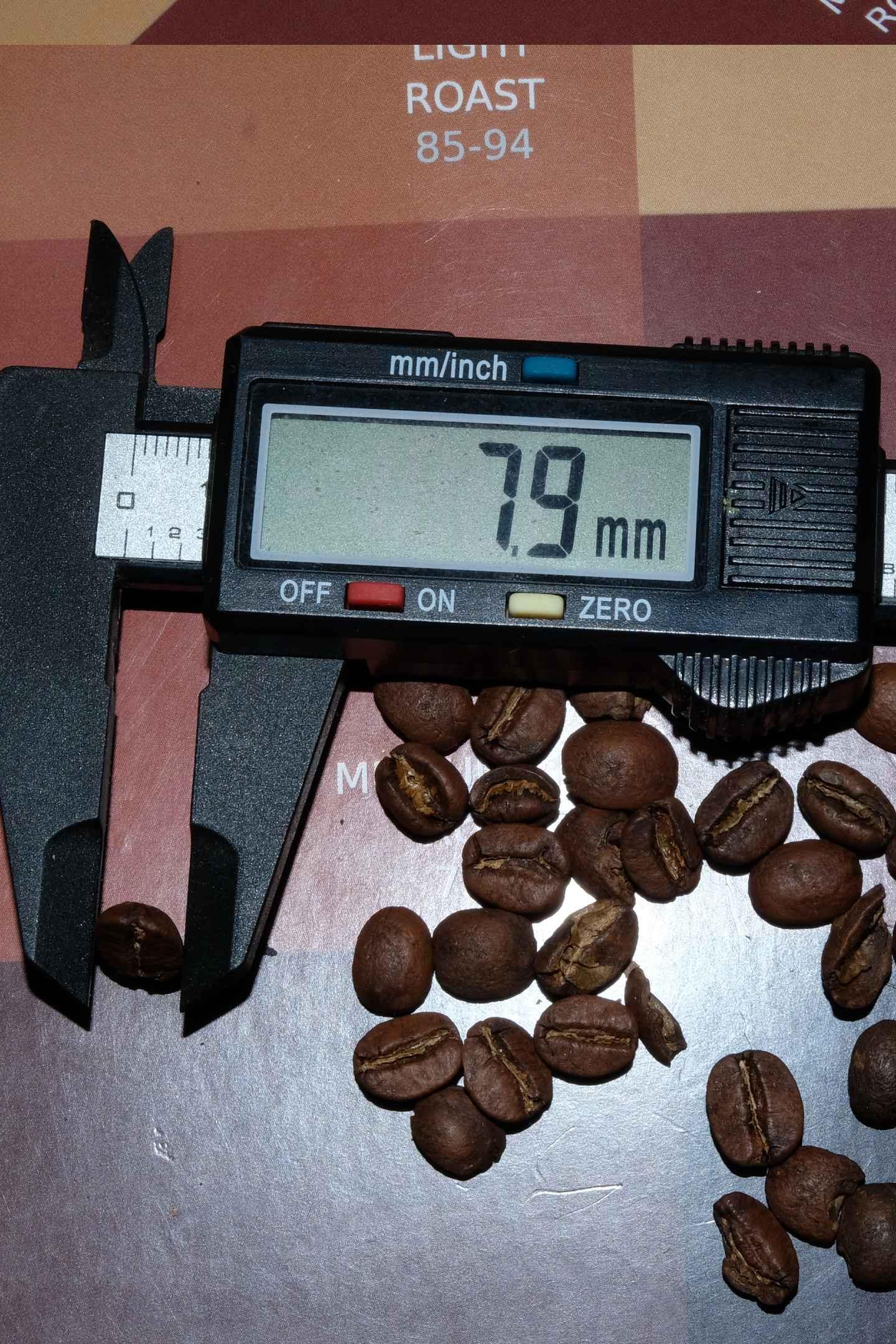 Café Leopoldo Blend Bean Size
