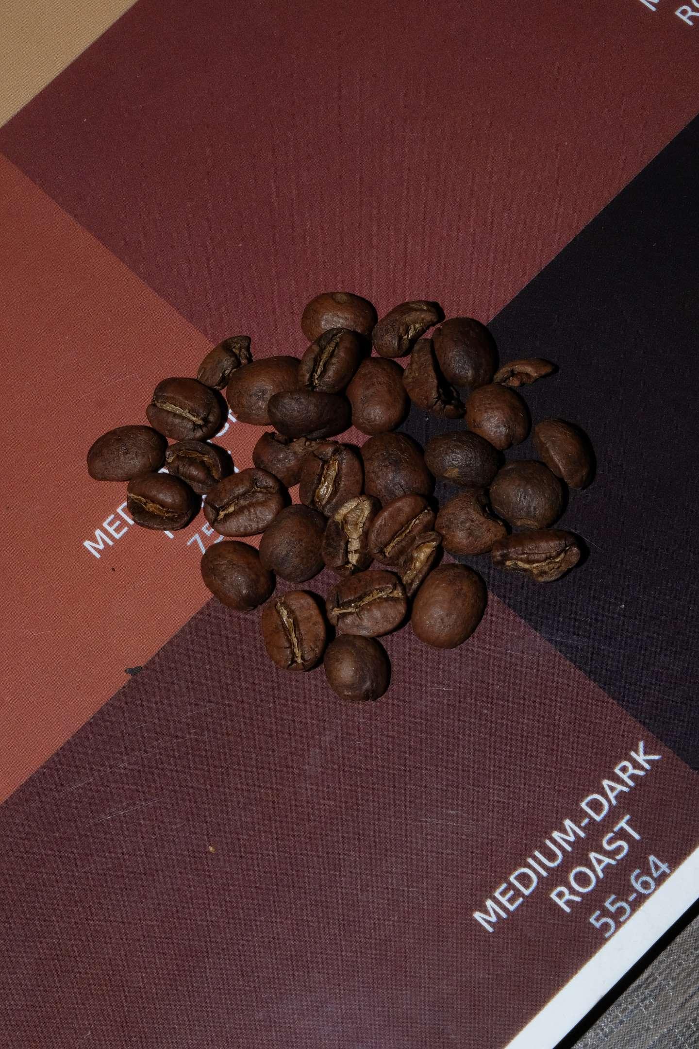 Café Leopoldo Blend Beans