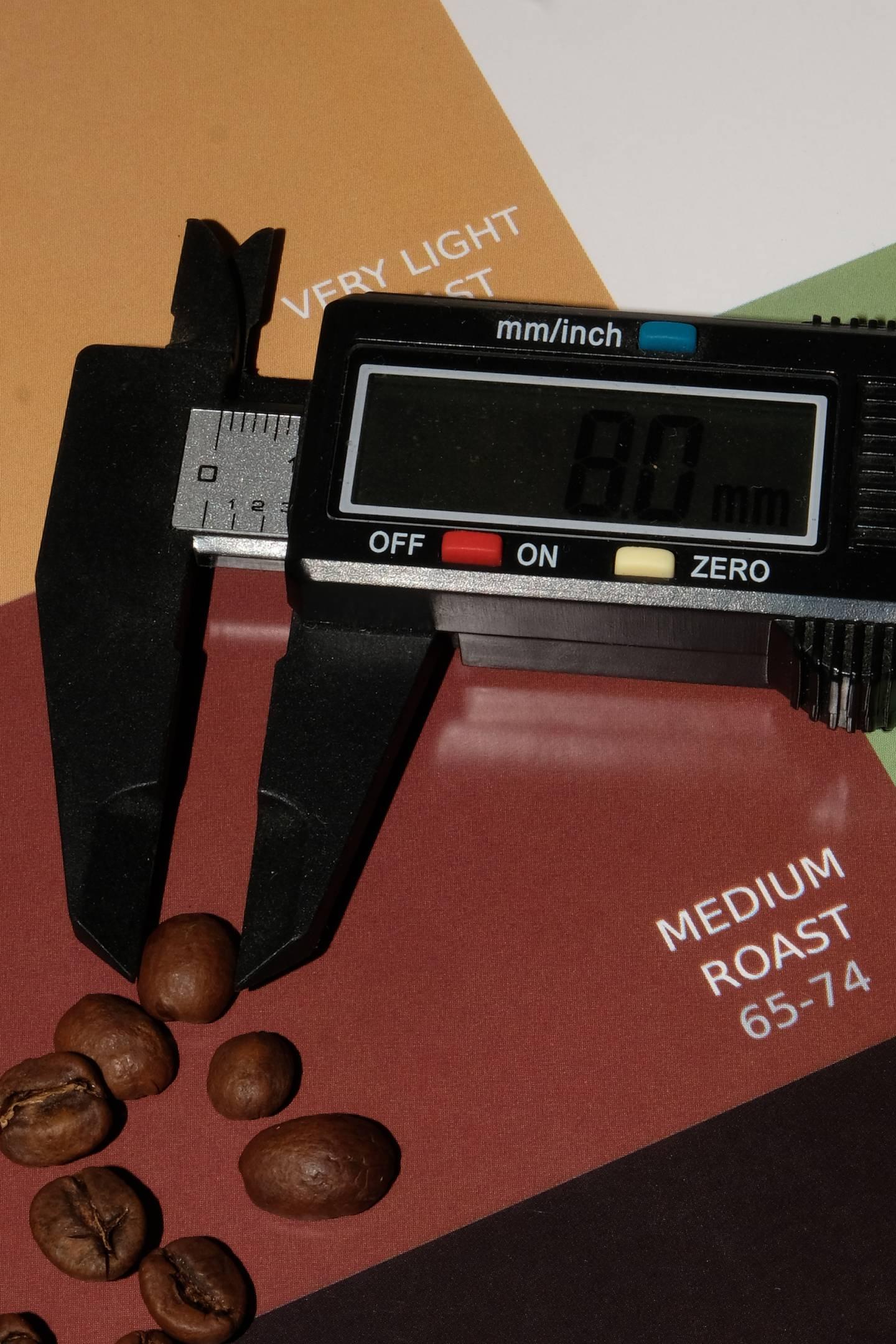 Culto Café Kenya Nandi Bean Size