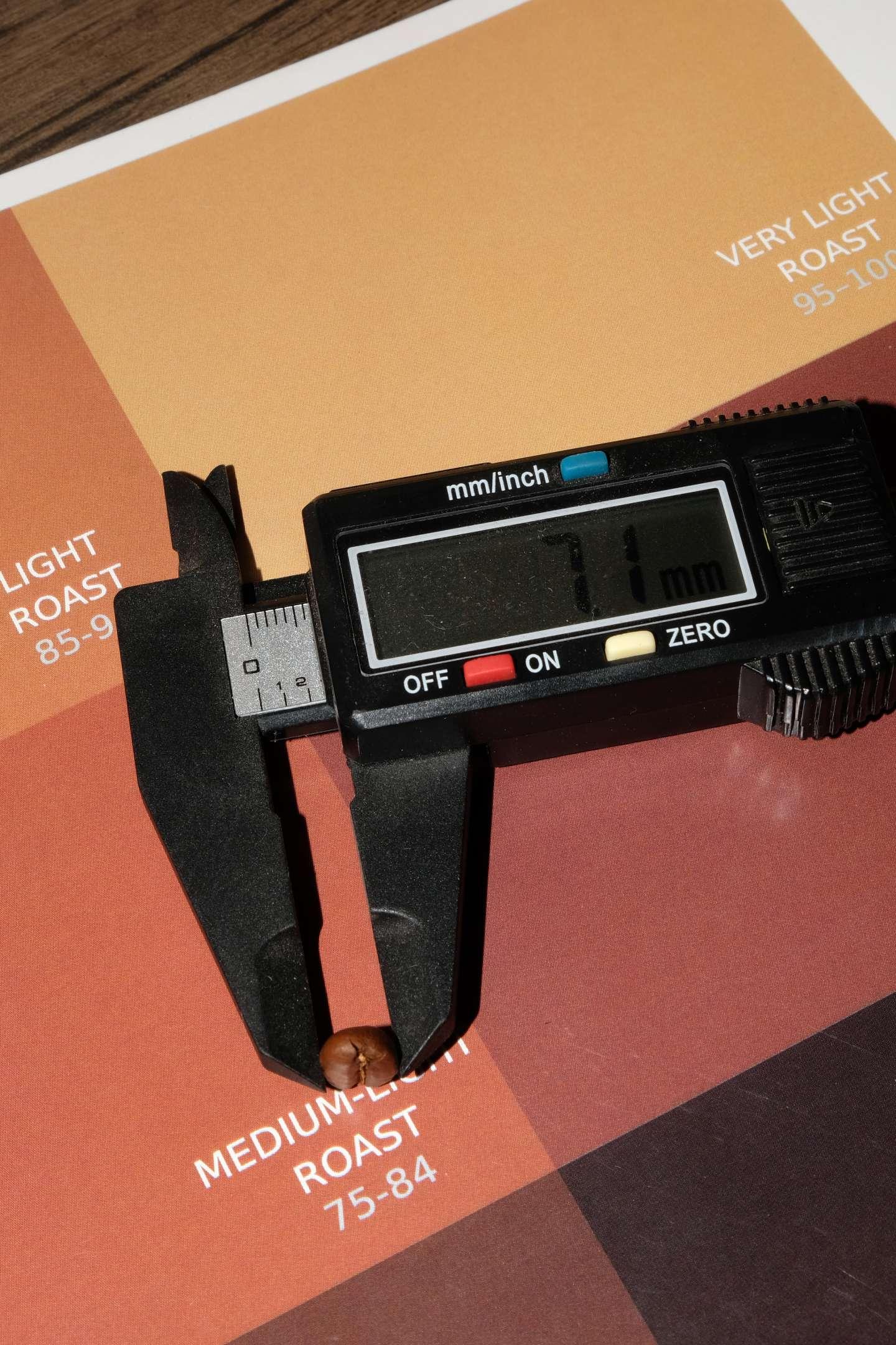 Illy Arabica Selection Ethiopia Bean Size