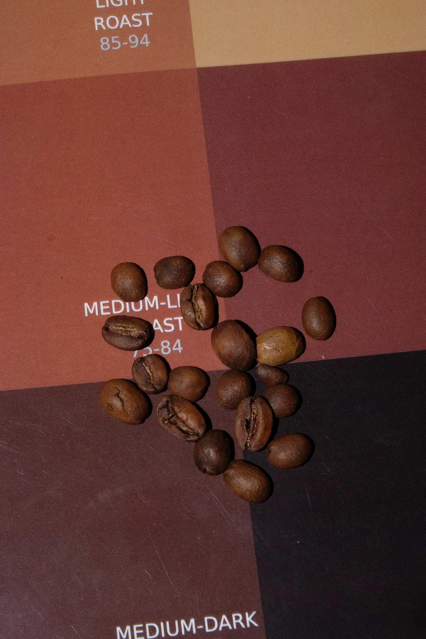 Queensland Coffee Koala Kiss Beans