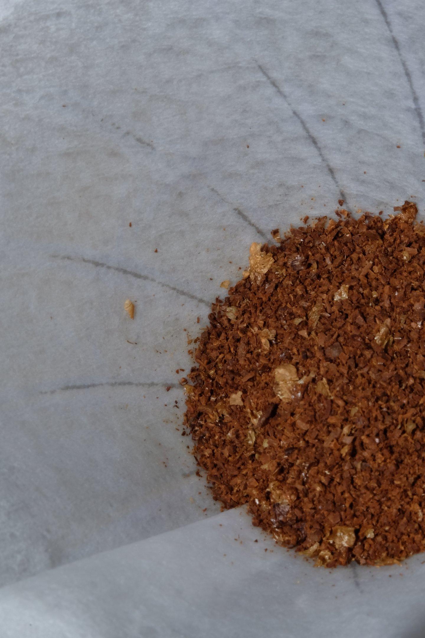 Queensland Coffee Koala Kiss V60