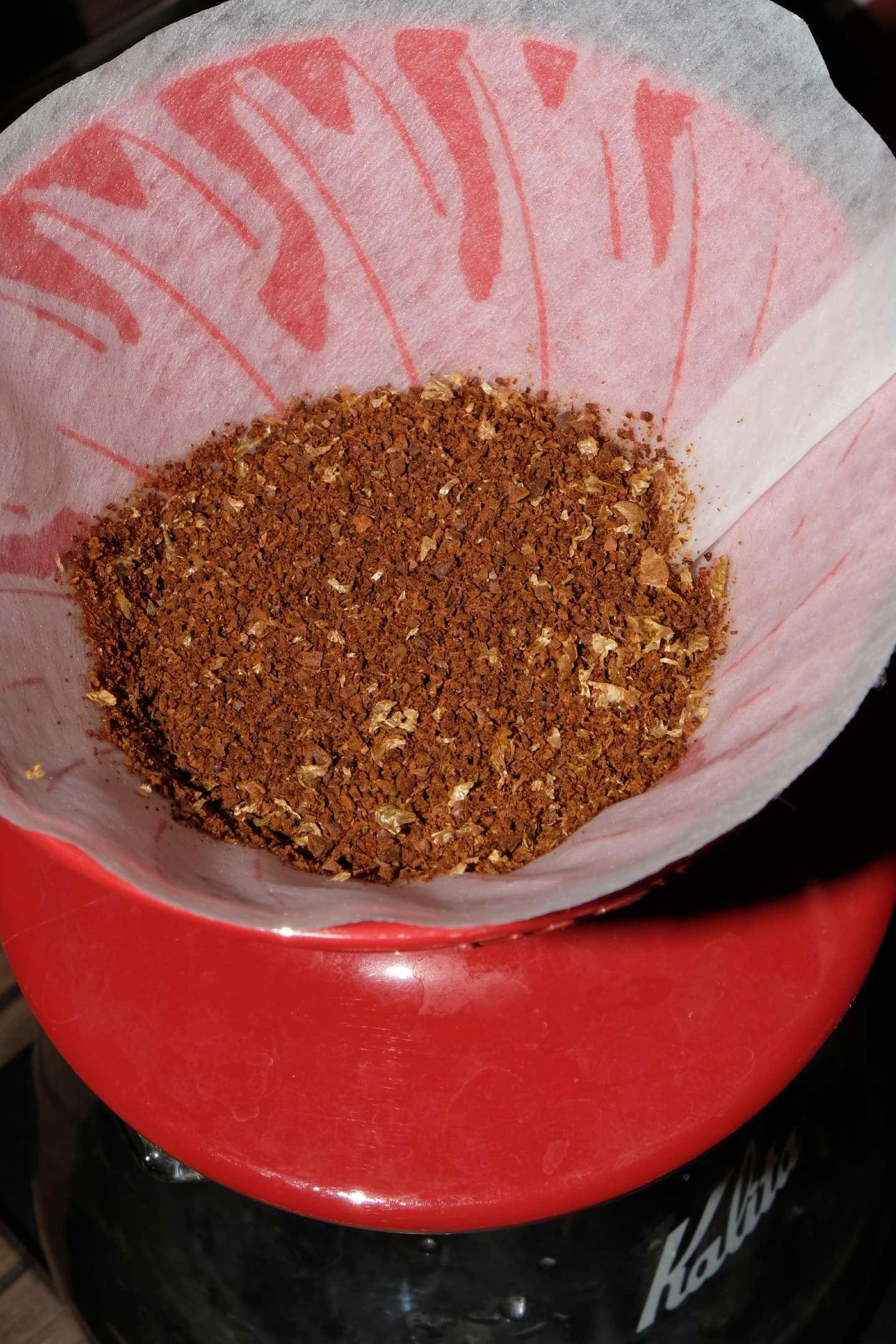 Ami Café x Sabino - Luiz Paulo D. Pereira SL28 in Filter