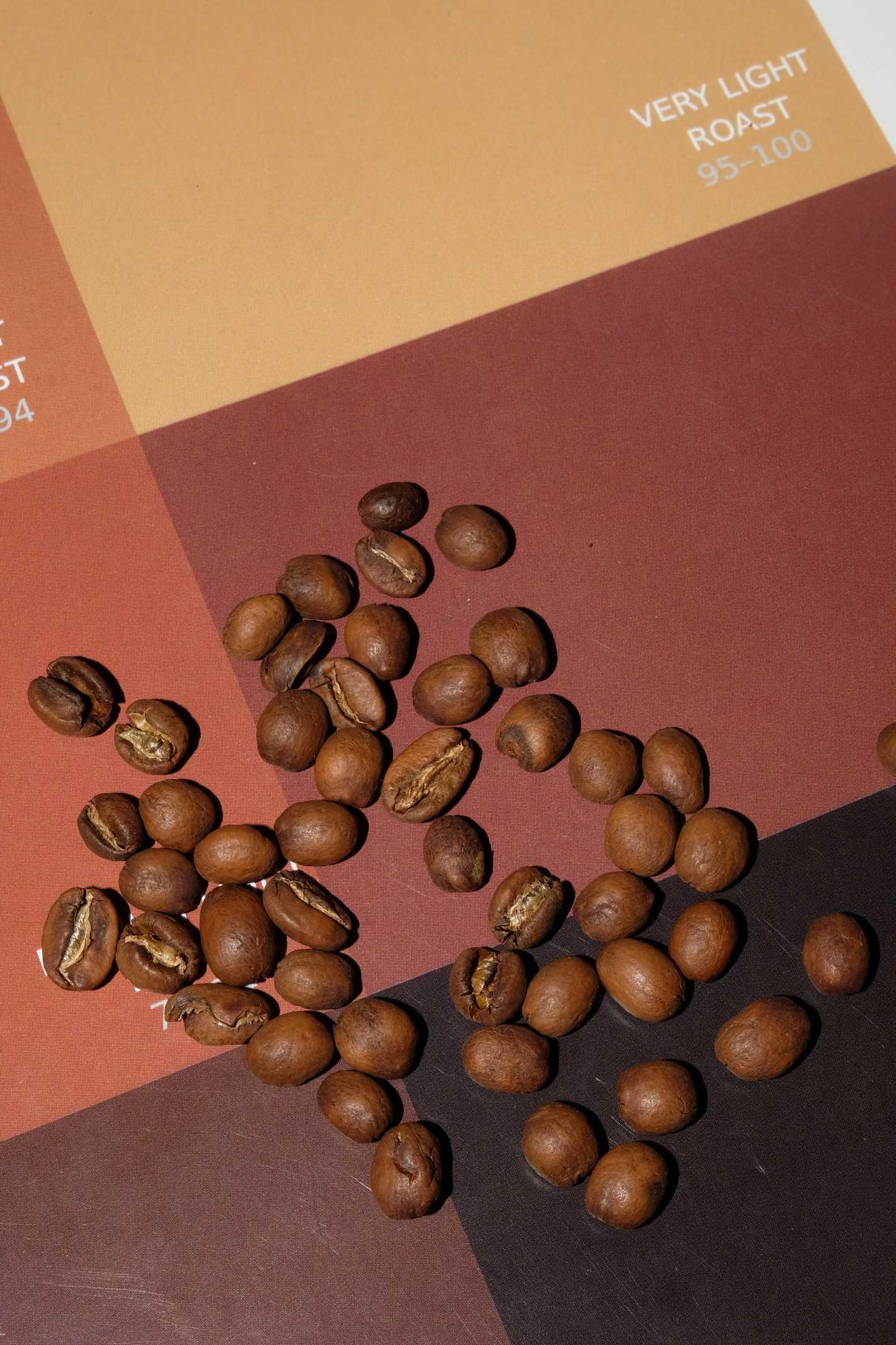 Ami Café x Sabino - Luiz Paulo D. Pereira SL28 Beans