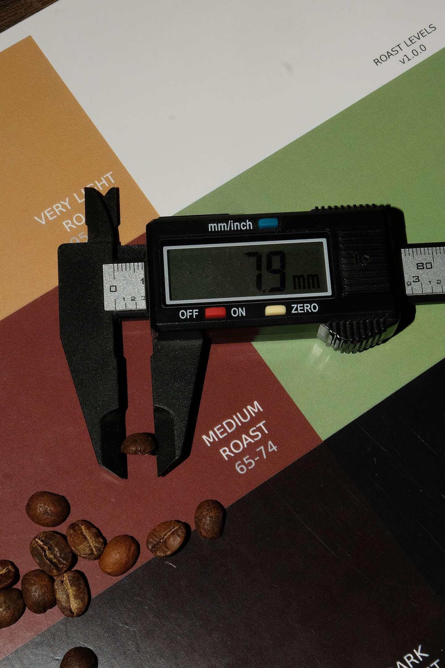 Culto Café Colombia Cumbre Bean Size