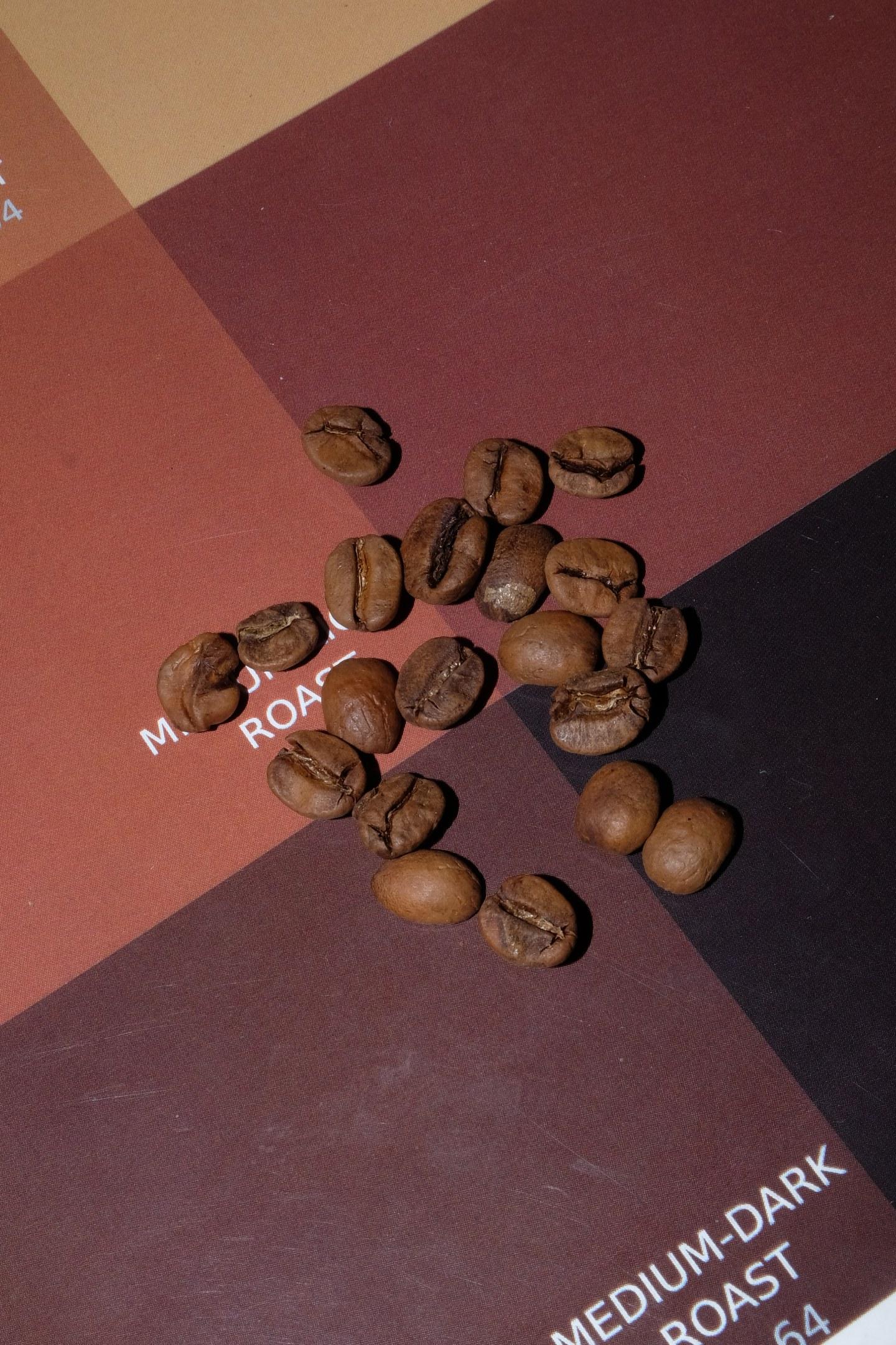 DROPIT Palmer Beans